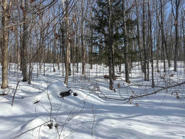 72033 Ponsegrau Rd, Mellen, WI 54546