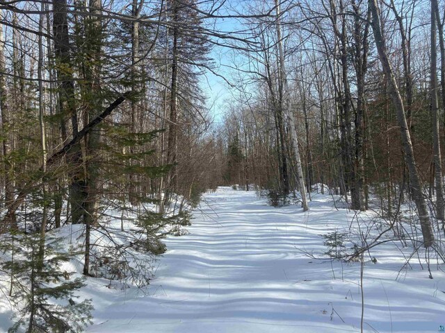 72033 Ponsegrau Rd, Mellen, WI 54546