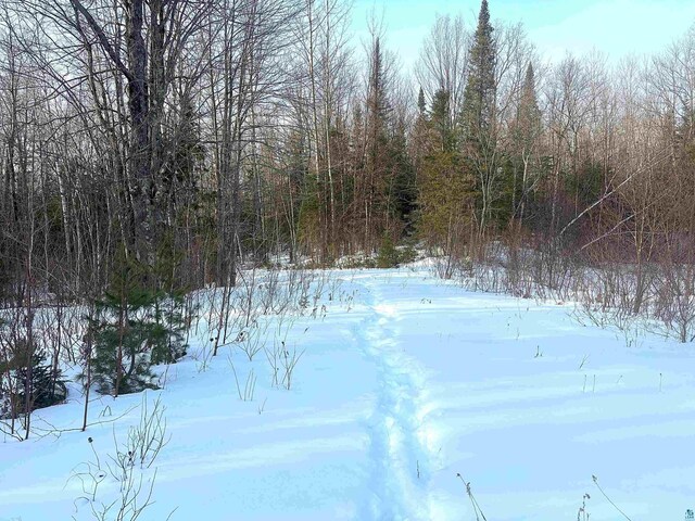 72033 Ponsegrau Rd, Mellen, WI 54546