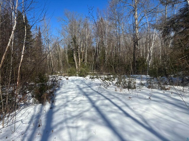 72033 Ponsegrau Rd, Mellen, WI 54546