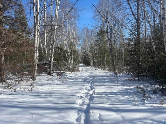 72033 Ponsegrau Rd, Mellen, WI 54546