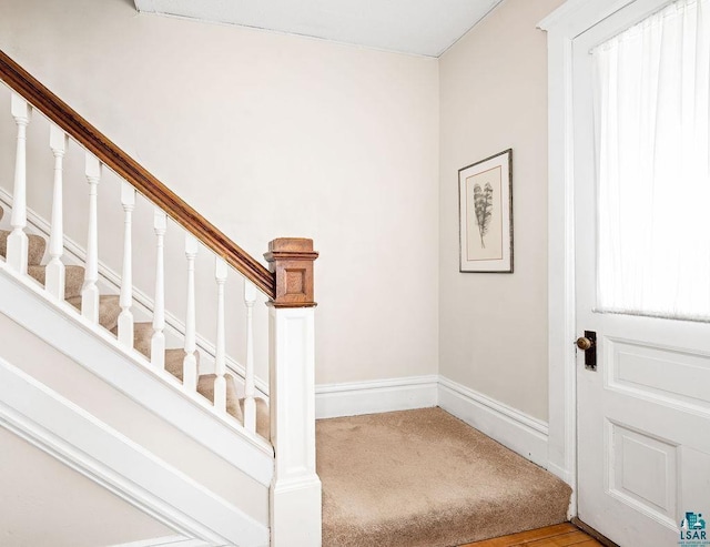 stairs featuring carpet and baseboards