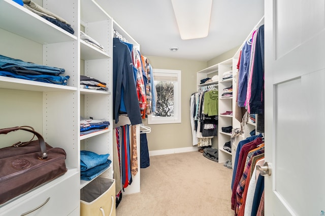 walk in closet with carpet flooring