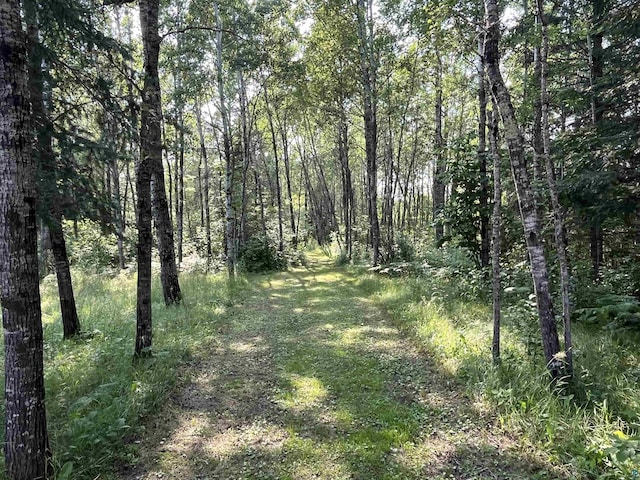 view of local wilderness featuring a view of trees