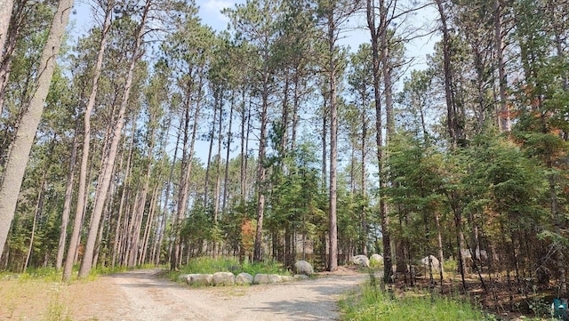 view of road featuring a forest view