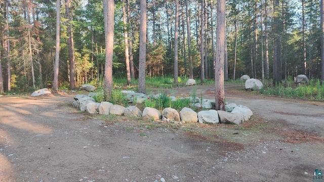 view of yard featuring a view of trees