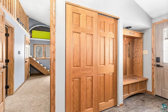 mudroom with carpet, baseboards, and vaulted ceiling