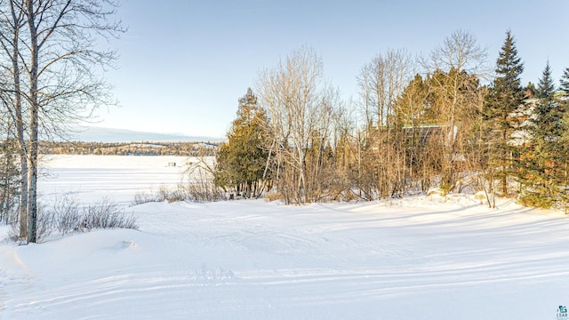 view of snowy yard