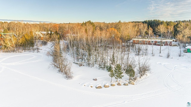 snowy aerial view featuring a view of trees