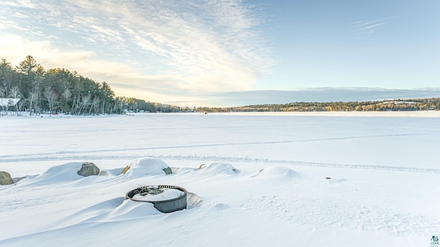 view of yard covered in snow