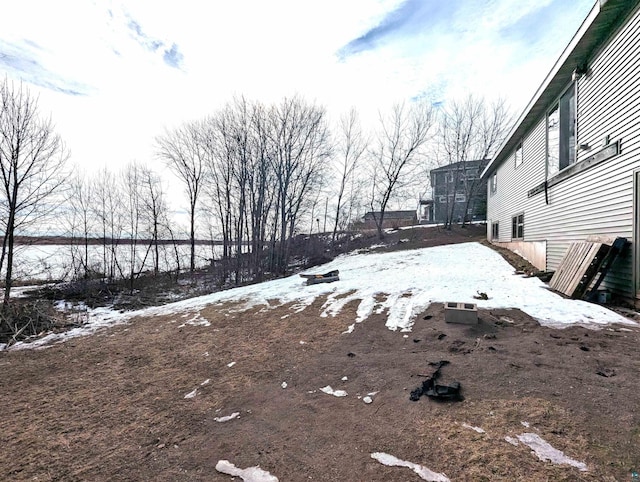 view of snowy yard