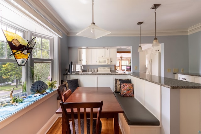 dining area featuring ornamental molding, a wealth of natural light, and wood finished floors