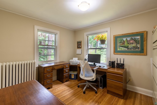 office featuring crown molding, light wood finished floors, and radiator heating unit