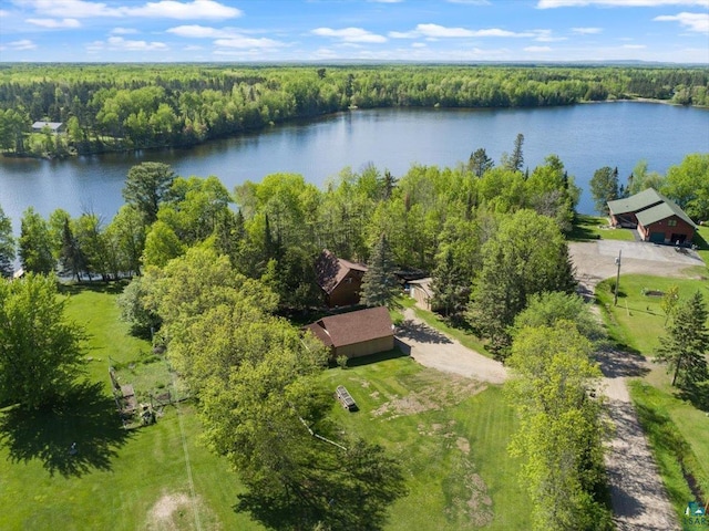 birds eye view of property featuring a water view and a forest view