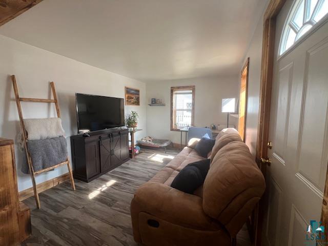 living area featuring wood finished floors