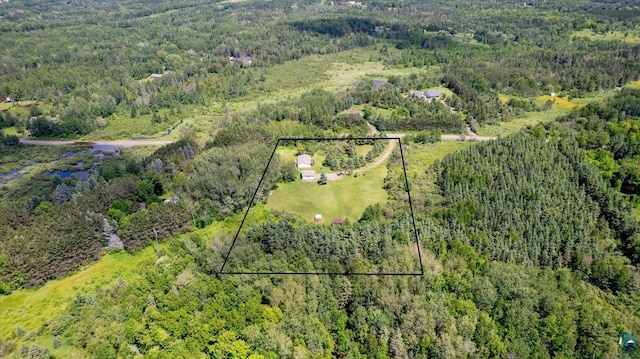 bird's eye view featuring a view of trees