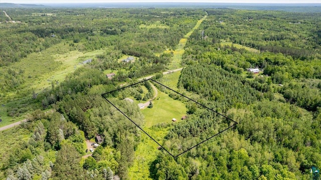 aerial view with a forest view