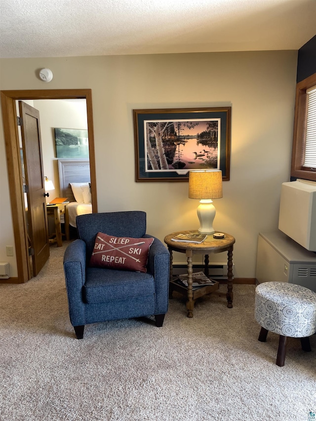 sitting room featuring a textured ceiling and carpet