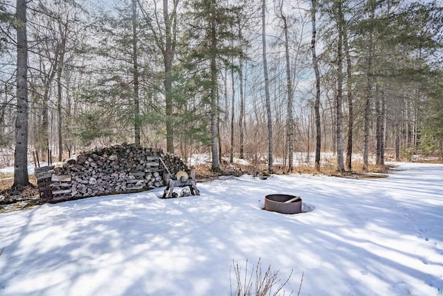 view of yard layered in snow