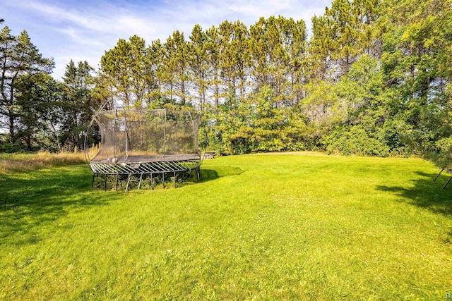 view of yard featuring a trampoline