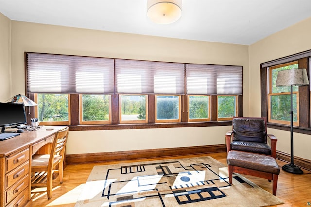 office area with baseboards, light wood-type flooring, and a wealth of natural light