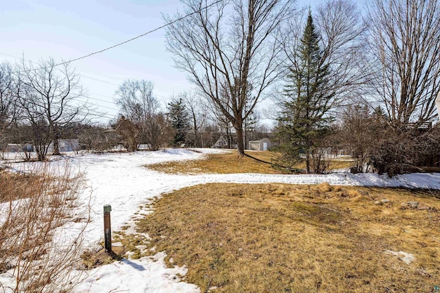 view of snowy yard