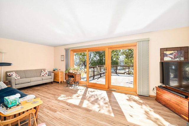 living area featuring wood finished floors