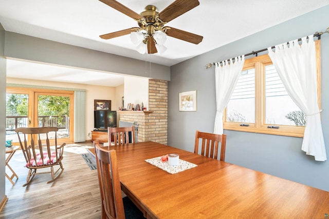 dining room featuring wood finished floors and ceiling fan