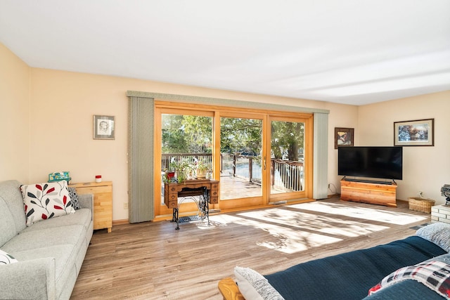 living room featuring french doors and wood finished floors