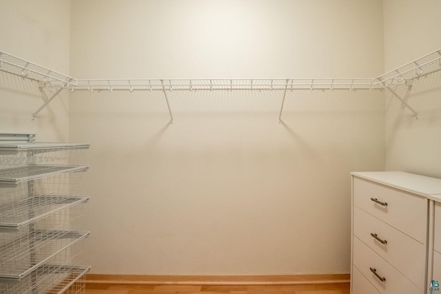 spacious closet featuring light wood-style floors