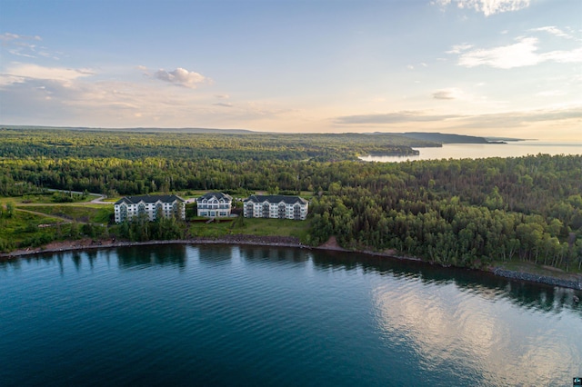 drone / aerial view featuring a view of trees and a water view