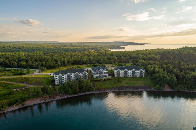 aerial view at dusk featuring a wooded view and a water view