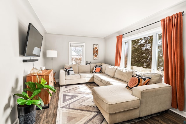 living area featuring dark wood finished floors