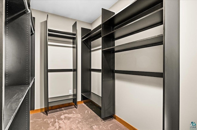 spacious closet with carpet floors