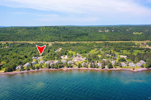 birds eye view of property featuring a wooded view and a water view