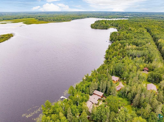 bird's eye view with a water view and a forest view