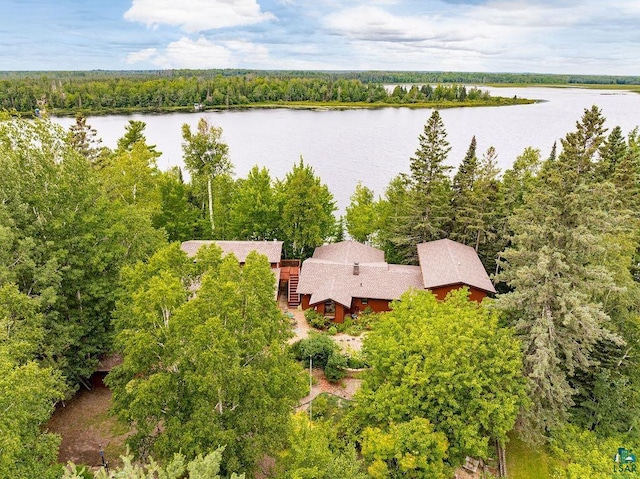 birds eye view of property featuring a water view and a view of trees