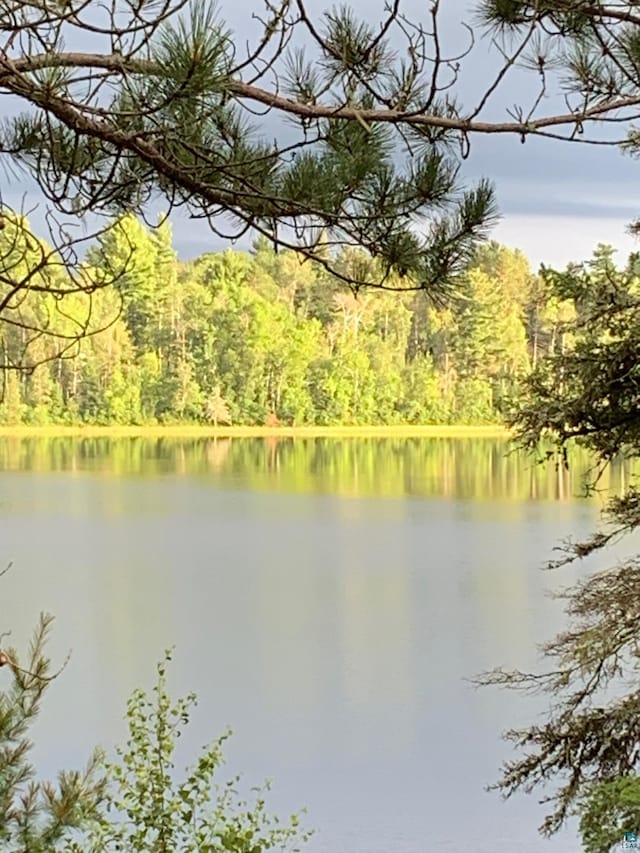 property view of water with a forest view