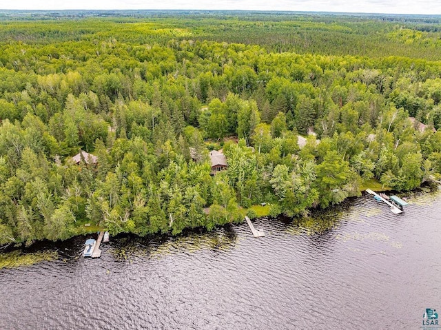 bird's eye view with a forest view and a water view