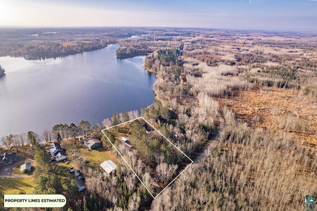 bird's eye view featuring a water view and a wooded view
