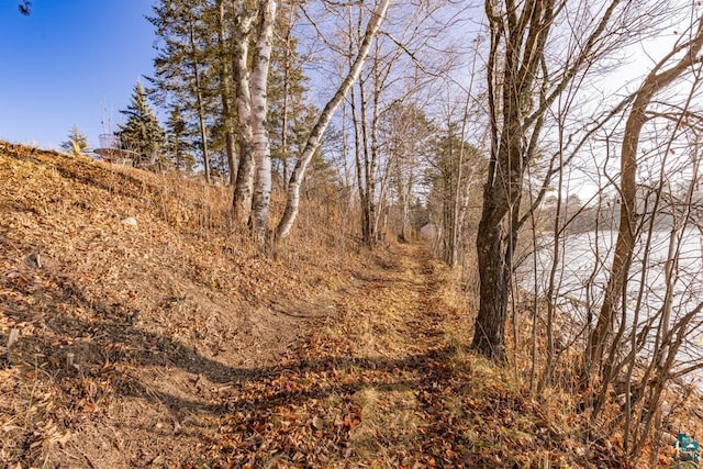 view of local wilderness