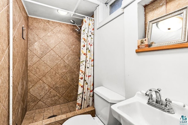 full bath featuring a stall shower, a sink, and toilet