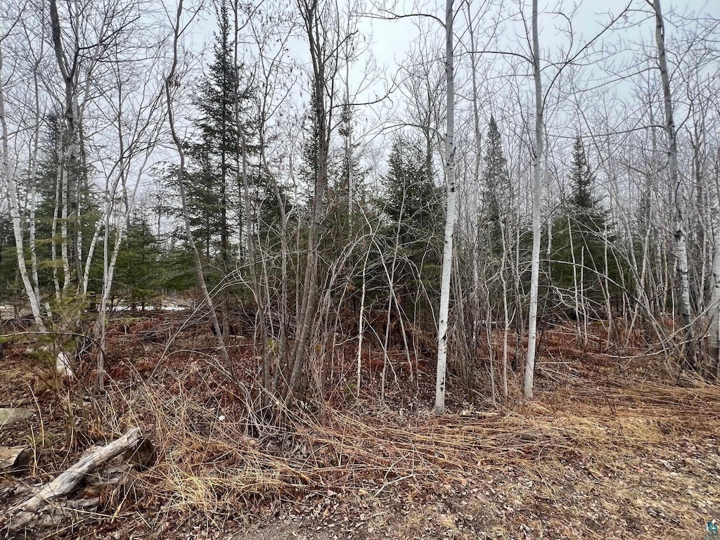 XX Maple Hill Dr, Cloquet, MN 55720