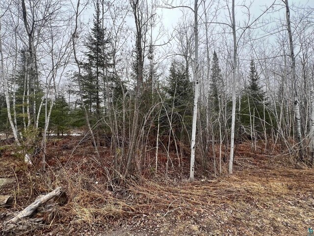 XX Maple Hill Dr, Cloquet, MN 55720