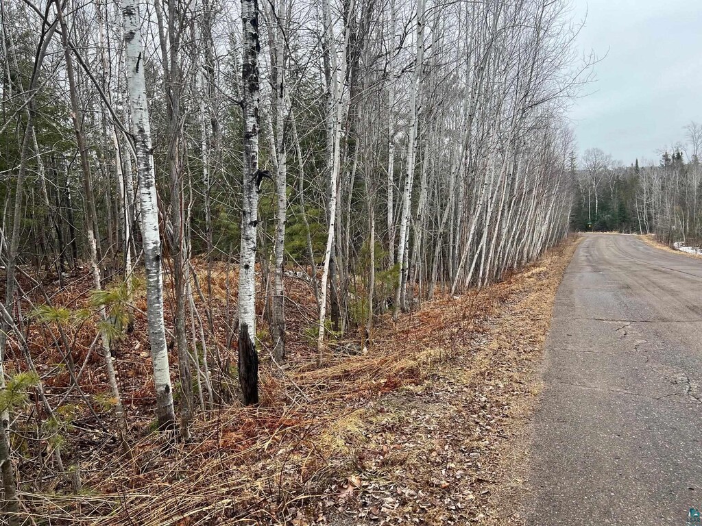 XX Maple Hill Dr, Cloquet, MN 55720