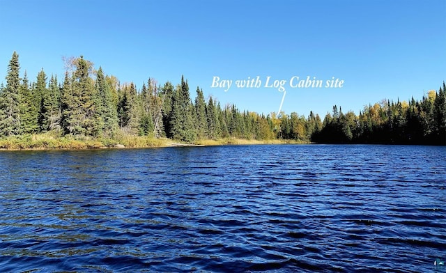 8352 Old Gunflint Trl, Grand Marais, MN 55604 - property view of water featuring a view of trees