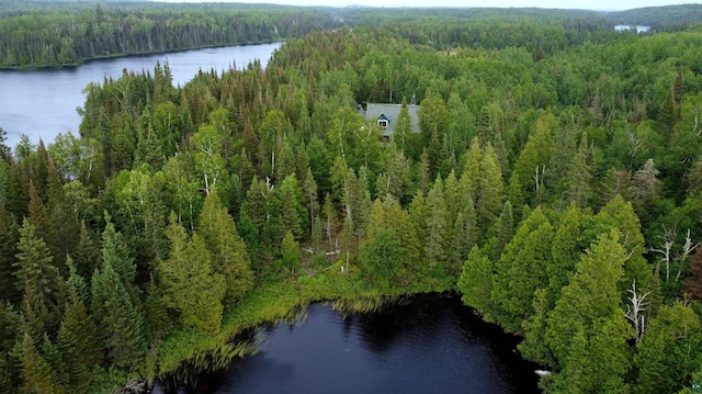 8352 Old Gunflint Trl, Grand Marais, MN 55604 - aerial view with a view of trees and a water view
