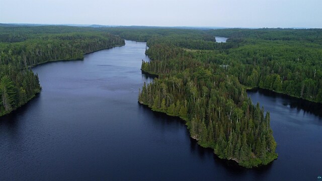 8352 Old Gunflint Trl, Grand Marais, MN 55604 - aerial view featuring a water view and a view of trees