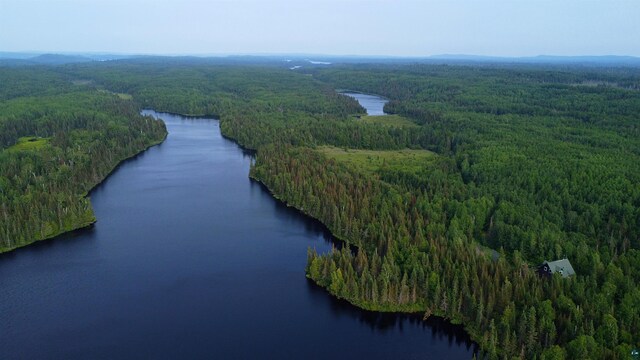 8352 Old Gunflint Trl, Grand Marais, MN 55604 - drone / aerial view with a forest view and a water view