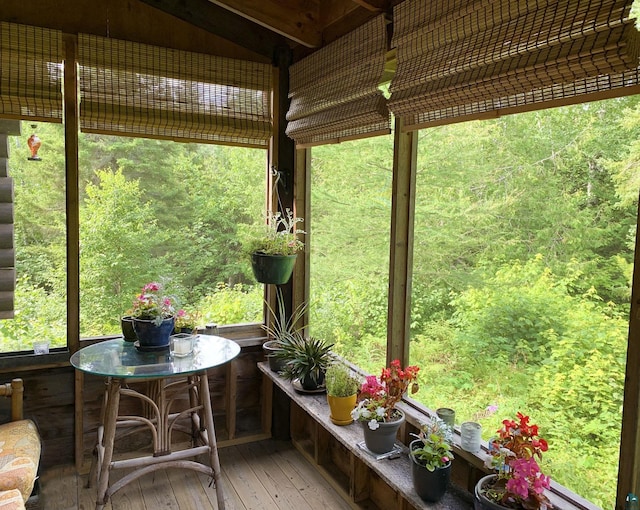 8352 Old Gunflint Trl, Grand Marais, MN 55604 - view of sunroom